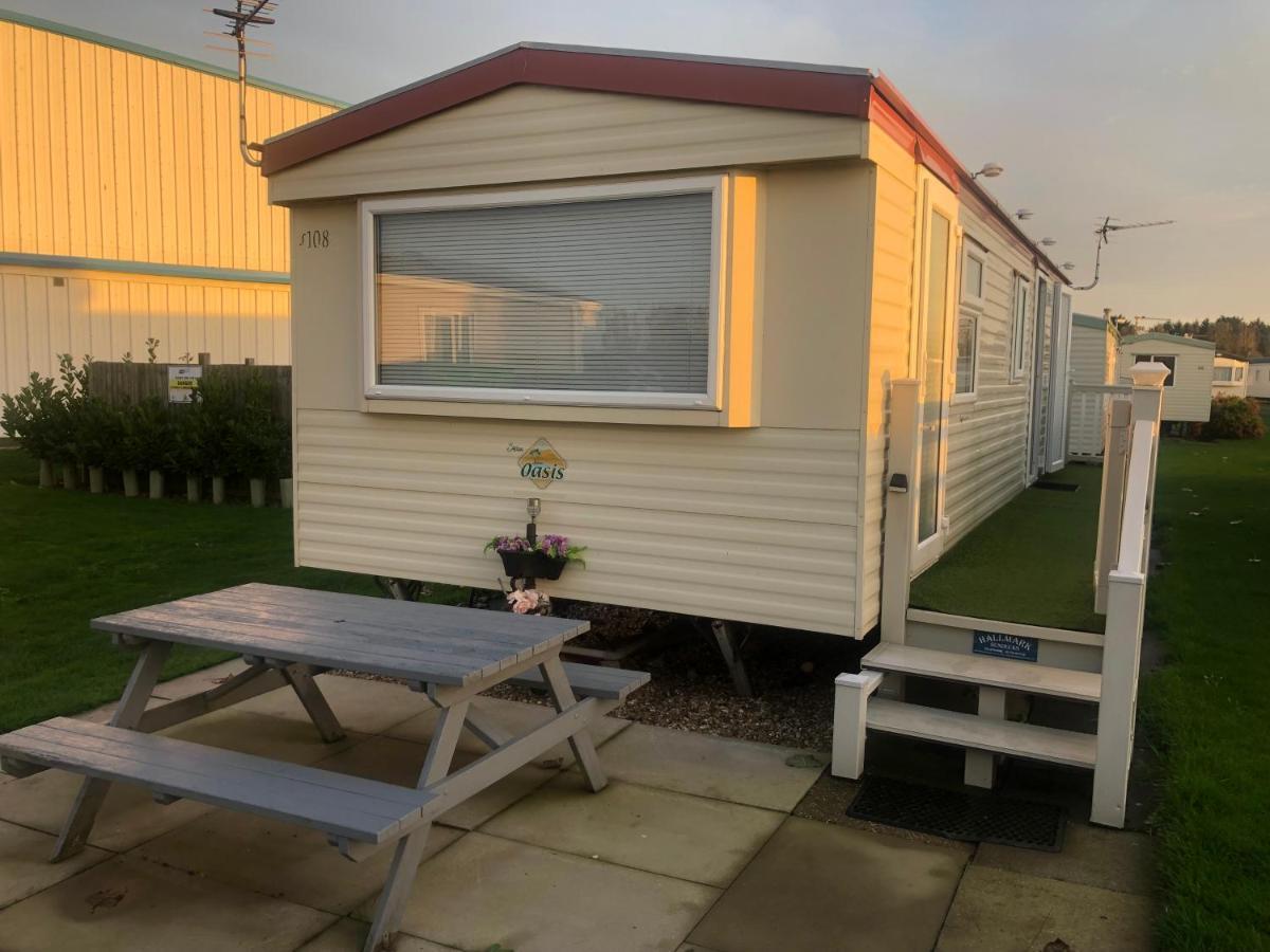 Oasis S108 Caravan, Golden Palm